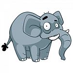 Grey Elephant Stock Photo