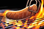 Grilled Sausage Stock Photo