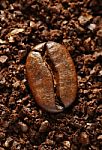 Ground Coffee Bean Stock Photo