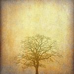Grunge Paper With Tree Stock Photo