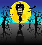 Halloween Pumpkins And Black Cat On The Night Background Stock Photo