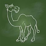 Hand Drawing Camel On Green Board - Illustration Stock Photo