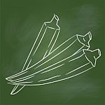 Hand Drawing Lady Finger On Green Board - Illustration Stock Photo