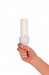 Hand Holding Bulb Stock Photo