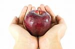 Hand Holding Red Apple Stock Photo
