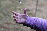 Hand In The Rain Stock Photo