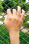 Hand On Wire Fence Stock Photo