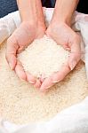 Handful Of Uncooked Rice Stock Photo