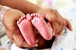Hands Hold Baby Newborn Feet Stock Photo