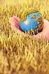 Hands Holding Earth Stock Photo
