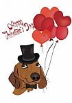 Happy Valentine's Day. Love Card With Sausage Dog Stock Photo