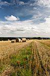 Harvest - Contry Scene - North Yorkshire - Uk Stock Photo