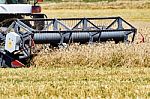 Harvesting Wheat Stock Photo