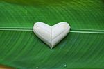 Healthy Love Stock Photo