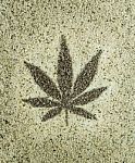 Hemp Seeds Marijuana Leaf Shape Background Stock Photo