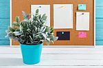 Home Decor Stock Photo