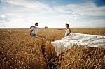 Honeymoon In Wheat Stock Photo