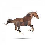 Horse Abstract Stock Photo