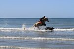Horse Jumping Into The Waves Stock Photo