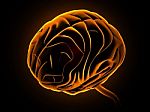 Human Brain Stock Photo