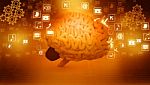 Human Brain  With Internet Icons Stock Photo