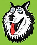 Husky Dog Cartoon Portrait Stock Photo