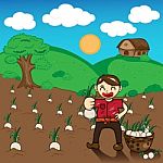 Illustration Of Cartoon Farmers Harvest Onions, Growing A Conver Stock Photo