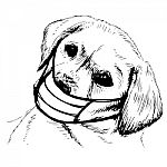 Illustration Of Labrador Retriever Dog With Mask Stock Photo