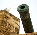 In Africa Morocco  Green Bronze Cannon And The Blue Sky Stock Photo
