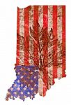Indiana State Map Flag Pattern Stock Photo
