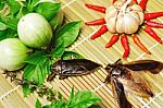 Ingredients For Giant Water Bug Chili Sauce Stock Photo