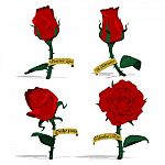 Isolated Roses Stock Photo