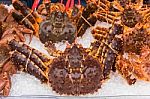 Japanese Taraba Sea King Crabs Stock Photo