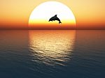 Jumping Dolphin Stock Photo