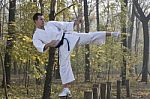 Karate In Forestry Stock Photo