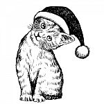 Kitten Cat With Christmas Hat Stock Photo