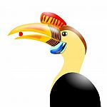 Knobbed Hornbill Stock Photo