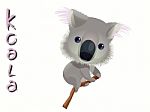 Koala Stock Photo