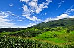 Landscape Village Terrace Rice Field Stock Photo
