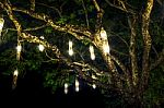 Lanterns Hanging From Tree Stock Photo
