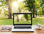 Laptop Computer And Coffee On Wood Workspace And Park Background Stock Photo