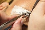Lashes Extension Procedure In Salon Stock Photo
