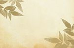 Leaves On An Old Paper  Stock Photo