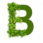 Letter B With Leaves Stock Photo