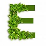 Letter E With Leaves Stock Photo