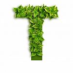 Letter T With Leaves Stock Photo