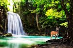 Level Five Of Erawan Waterfall Stock Photo