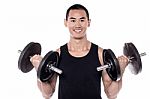Lifting Dumbbells Improves Biceps! Stock Photo