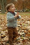Little Boy In Autumn Leaves Stock Photo