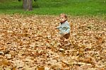 Little Boy Running On Autumn Leaves Stock Photo